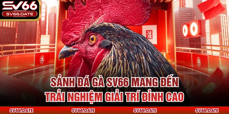 Sảnh đá gà SV66 mang đến trải nghiệm giải trí đỉnh cao